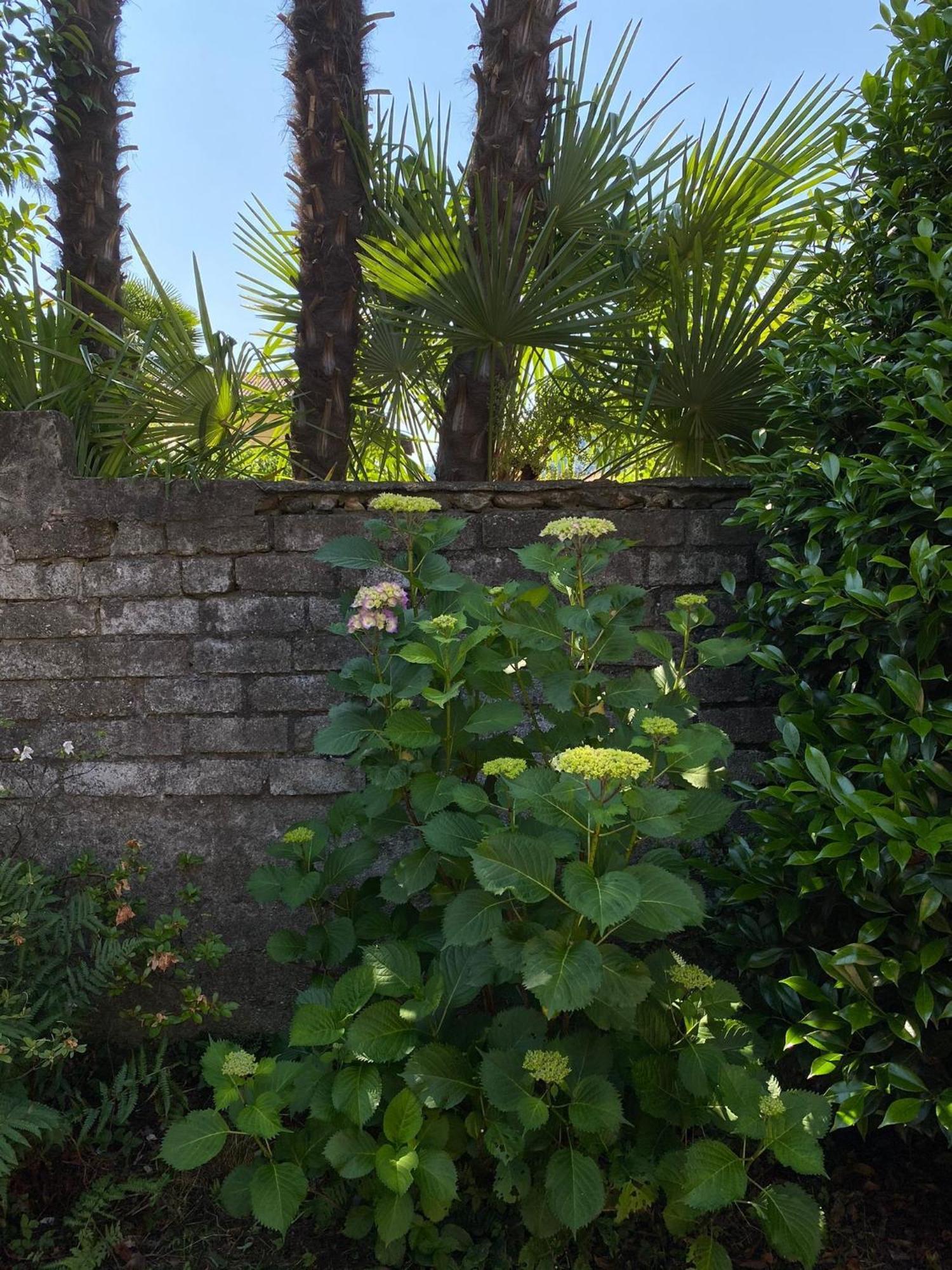 Villa Casa Tranquilla Cannobio Esterno foto